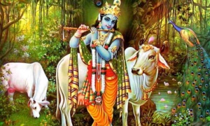 Kanikanum Neram Song Lyrics