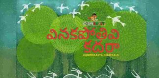 Vinakapothivi Kadara Song Lyrics