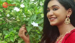 Zee Telugu Kutumbam Song Lyrics