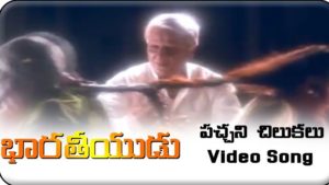 Pachani Chilukalu Thodunte Song Lyrics