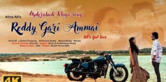 Reddy Gari Ammai Song Lyrics