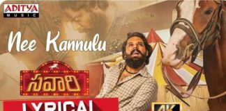 Nee Kannulu Na Dillulo Song Lyrics