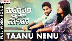 Taanu Nenu Song Lyrics
