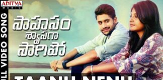 Taanu Nenu Song Lyrics