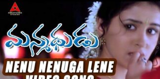 Nenu Nenuga Lene Song Lyrics