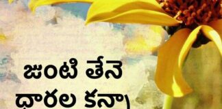 Junte Thene Daralakanna Song Lyrics