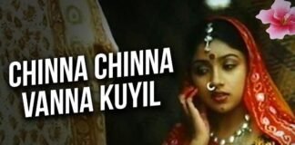 Chinna Chinna Vanna Kuyil Song Lyrics