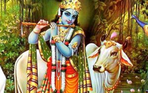 Krishna Krishna Manmohana Lyrics