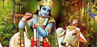 Krishna Krishna Manmohana Lyrics