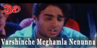 Varshinche Meghamla Nenunna Song Lyrics