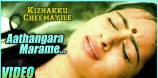 Aathangara Marame Song Lyrics