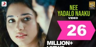 Nee Yadalo Naaku Song Lyrics