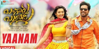 Yaanam Pantulugaru Song Lyrics