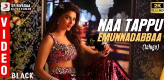 Naa Tappu Emunnadabbaa Song Lyrics