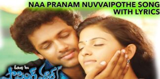 Naa Pranam Nuvvaipothe Song Lyrics