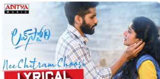 Nee Chitram Choosi Song Lyrics