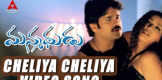 Cheliya Cheliya Cheyjaari Vellake Song Lyrics