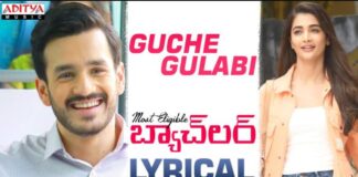 Guche Gulabi Song Lyrics