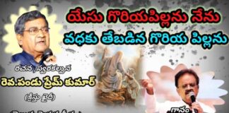 Yesu Goriya Pillanu Nenu Song Lyrics