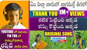 Em Pilla Nagulo Nagamalle Teegalo Song Lyrics