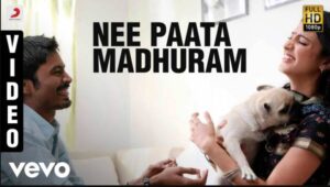 Nee Paata Madhuram Song Lyrics