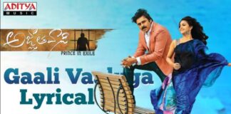 Gaali Vaaluga Song Lyrics