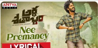 Nee Premaney Song Lyrics