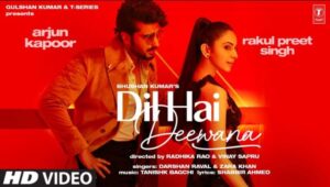 Dil Hai Deewana Song Lyrics