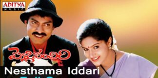 Nesthama Iddari Lokam Song Lyrics