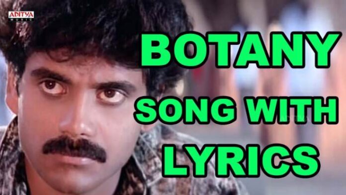 Botany Patamundi Song Lyrics