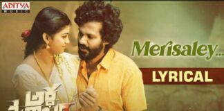 Merisaley Song Lyrics