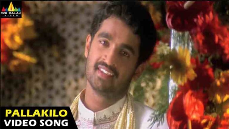 Pallakilo Pellikuthuru Song Lyrics