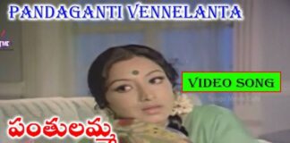 Pandaganti Vennelantha Song Lyrics