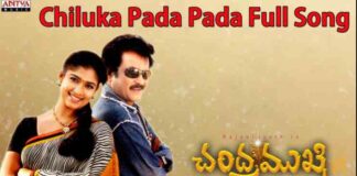 Chiluka Pada Pada Song Lyrics