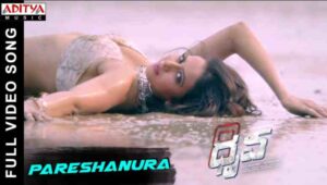 Pareshanura Song Lyrics