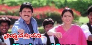 Meghmai Nenu Vachanu Song Lyrics