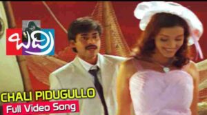Chali Pidugullo Song Lyrics