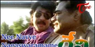 Nee Navve Nagaswarame Song Lyrics