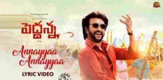 Annayyaa Annayyaa Song Lyrics