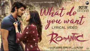 What Do You Want Song Lyrics