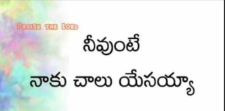 Neevunte Naku Chalu Yesayya Lyrics