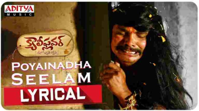 Poyinada Seelam Song Lyrics