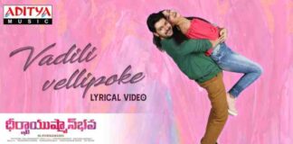 Vadili Vellipoke Song lyrics