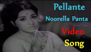 Pellante Noorella Panta Song Lyrics