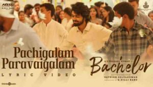 Pachigalam Paravaigalam Lyrics