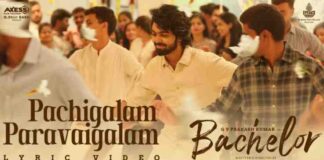 Pachigalam Paravaigalam Lyrics