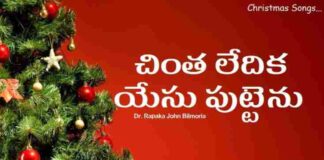 Chinthaledhika Yesu Puttenu Song Lyrics