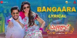 Bangaara Song Lyrics