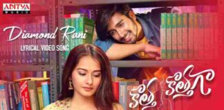 Diamond Rani Song Lyrics