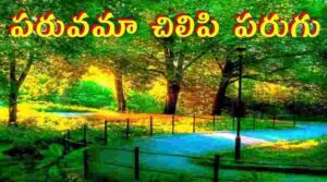 Paruvama Chilipi Parugu Song Lyrics